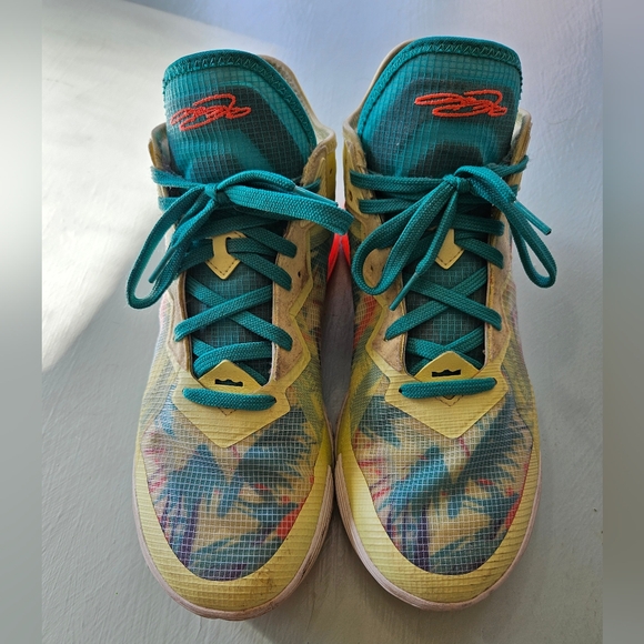 Nike LeBron 18 special edition Sz 10 - Picture 4 of 9